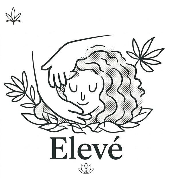 Elevé